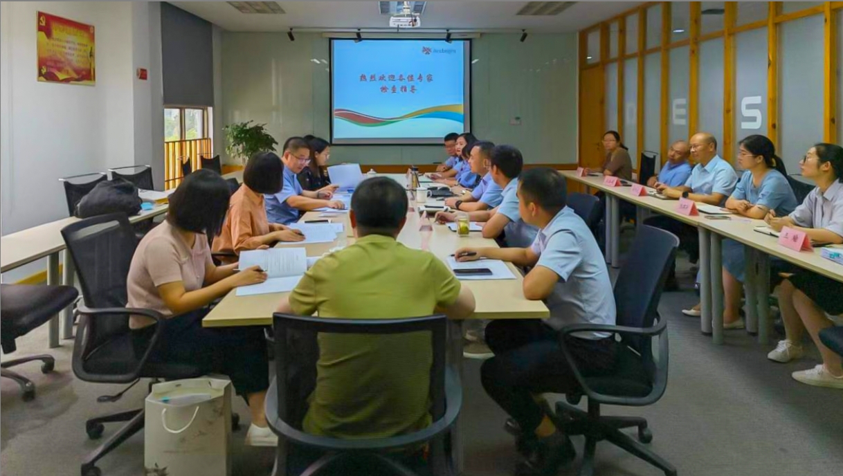 AG手机登录入口顺利通过舒更注册现场核查与小针GMP符合性二合一检查